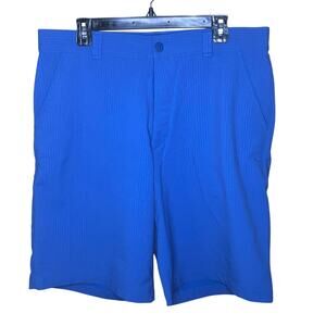 Under Armour Blue Pinstripe Shorts 36